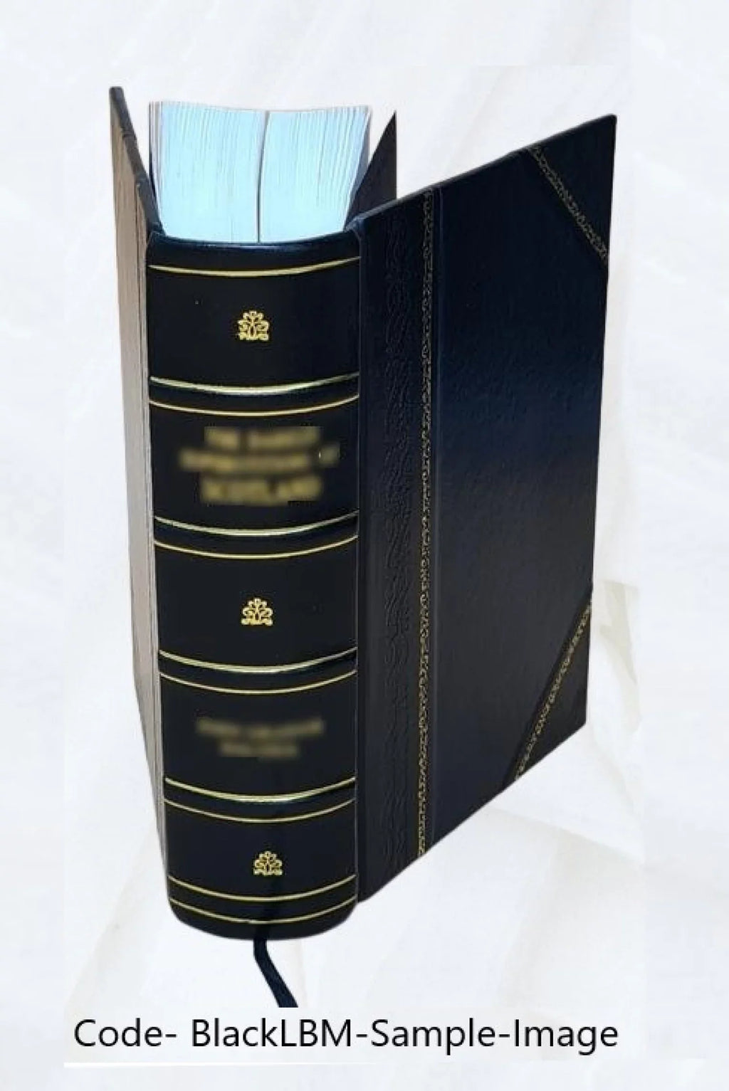 Opera omnia Volume t.12 1870 [Leather Bound]