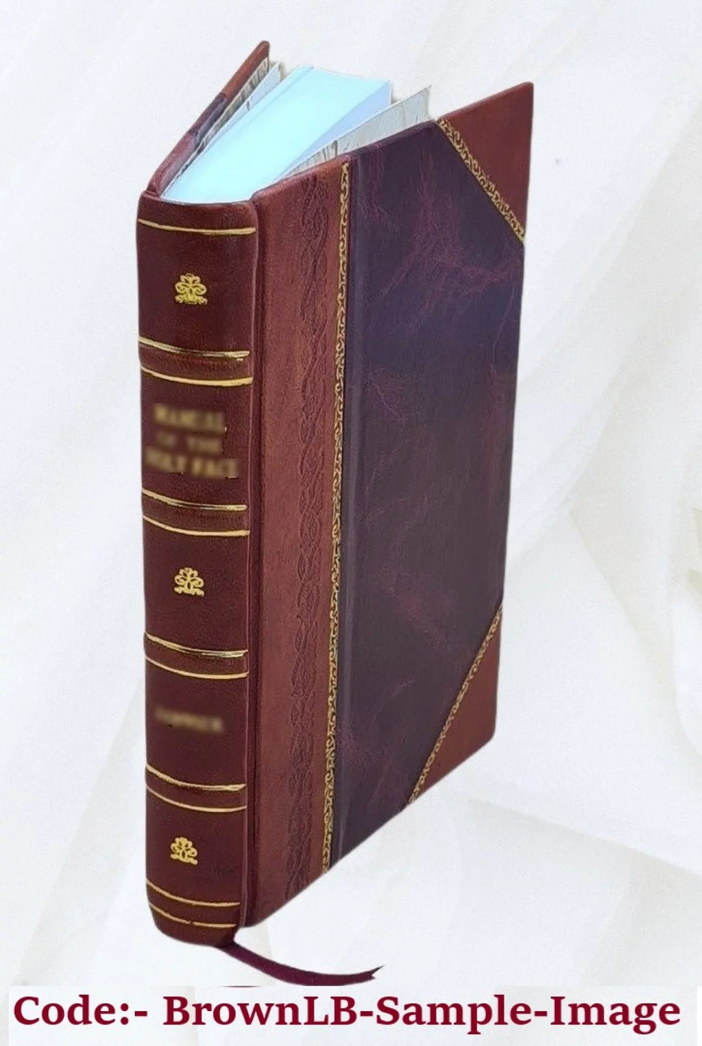 The picturesque antiquities of Spain; described in a series of letters, with illustrations, representing Moorish palaces, cathedrals, and other monuments of art, contained in the cities of Burgos, Val