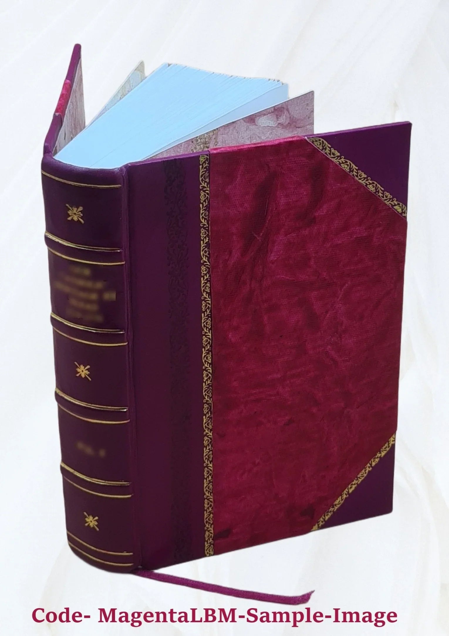 Opera omnia Volume t.12 1870 [Leather Bound]