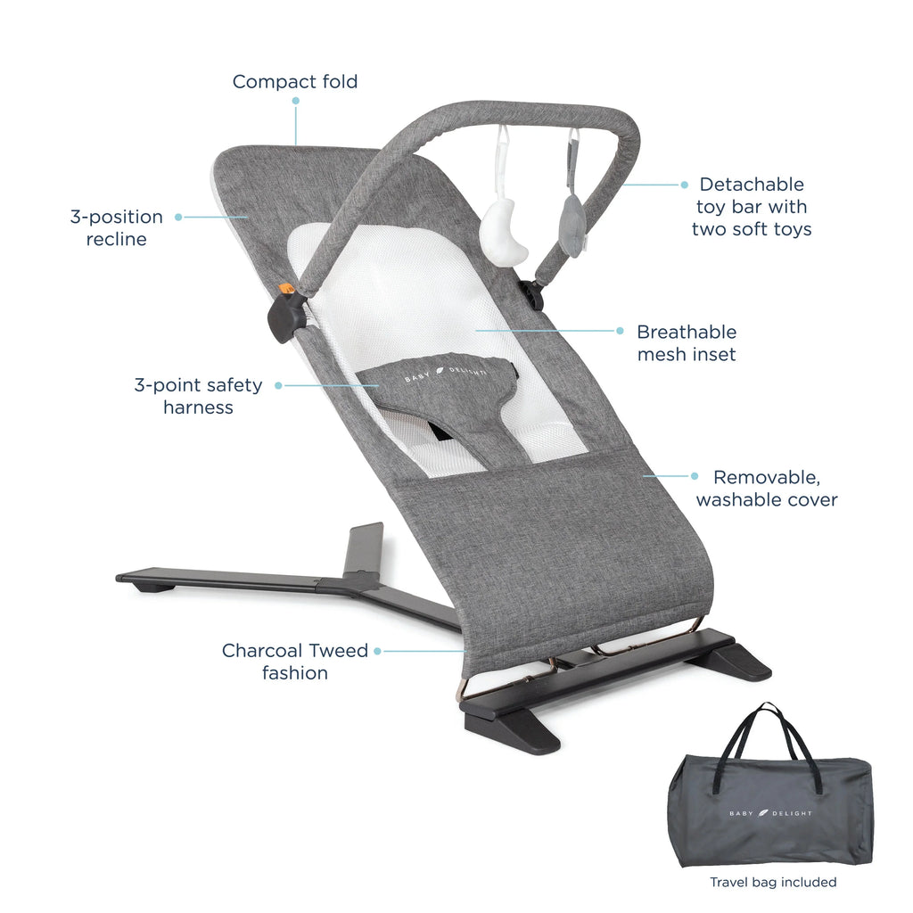 Baby Delight Alpine Deluxe Portable Baby Bouncer, Infants 0-6 Months, Charcoal Tweed