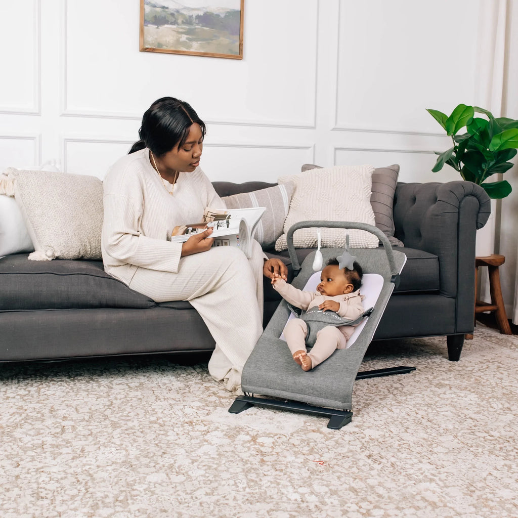 Baby Delight Alpine Deluxe Portable Baby Bouncer, Infants 0-6 Months, Charcoal Tweed