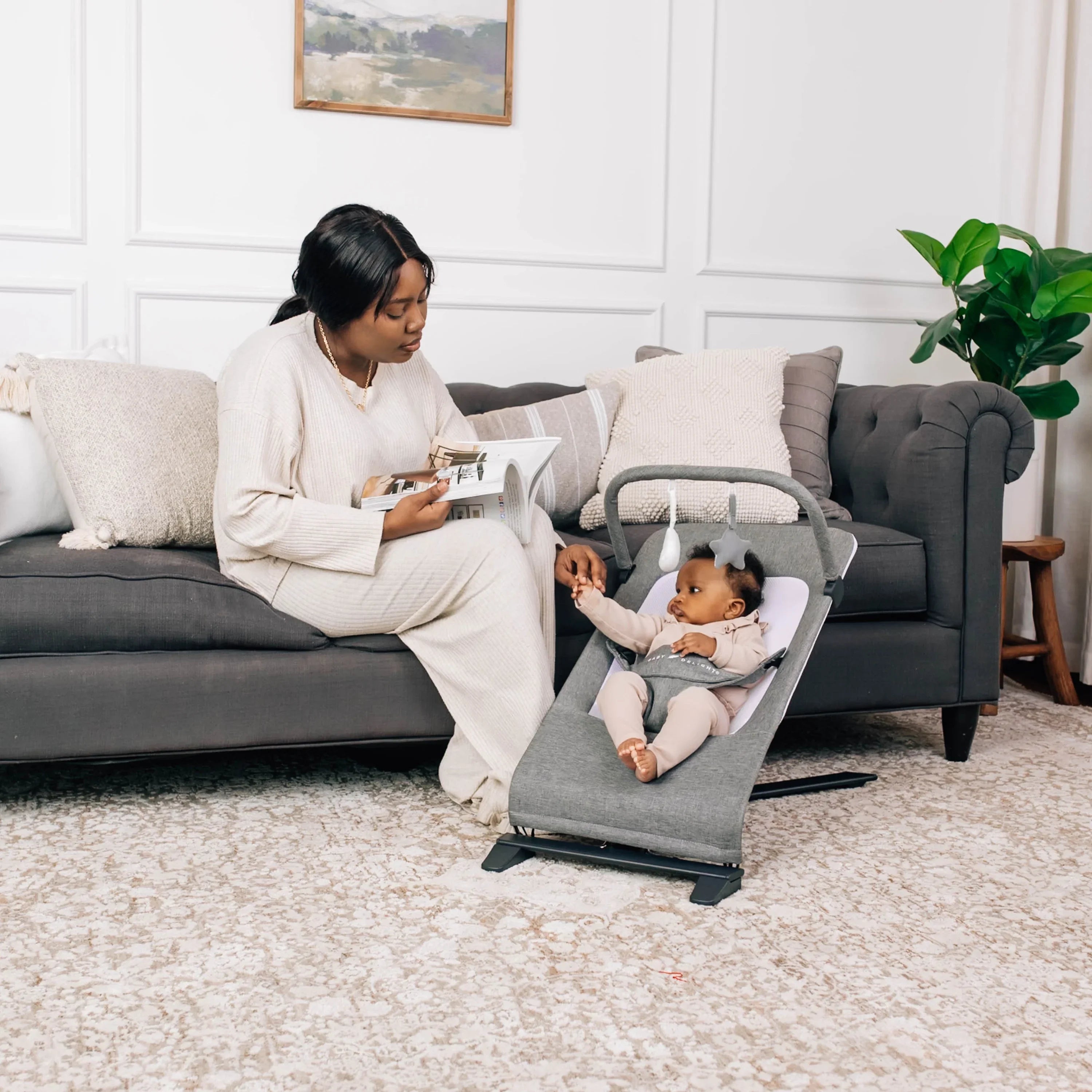 Baby Delight Alpine Deluxe Portable Baby Bouncer, Infants 0-6 Months, Charcoal Tweed