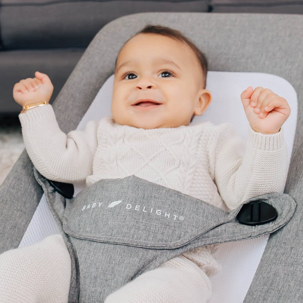 Baby Delight Alpine Deluxe Portable Baby Bouncer, Infants 0-6 Months, Charcoal Tweed
