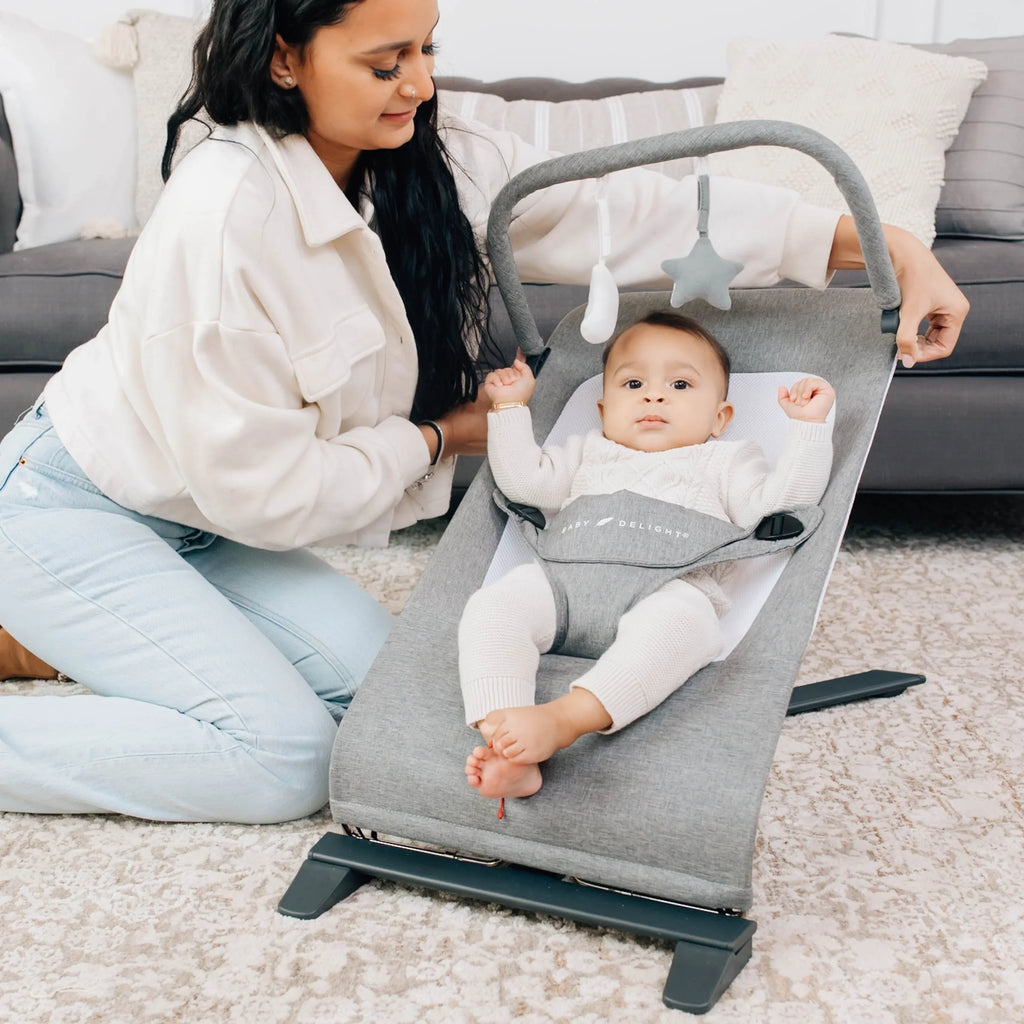 Baby Delight Alpine Deluxe Portable Baby Bouncer, Infants 0-6 Months, Charcoal Tweed